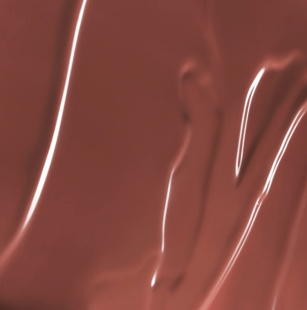 ÂN-GLOSS Ceramide Lip Tint- Spice Cake